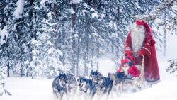 santa-husky-sled-rovaniemi-3-900×506