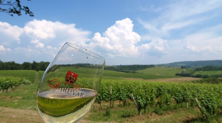 Proslavite Vincekovo u daruvarskim vinogradima