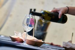 Uspješno održano četvrto izdanje Istria Wine & Walka (2)