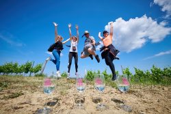 Uspješno održano četvrto izdanje Istria Wine & Walka (3)