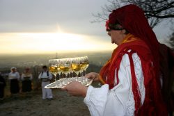 Vincelovo – Kutjevo