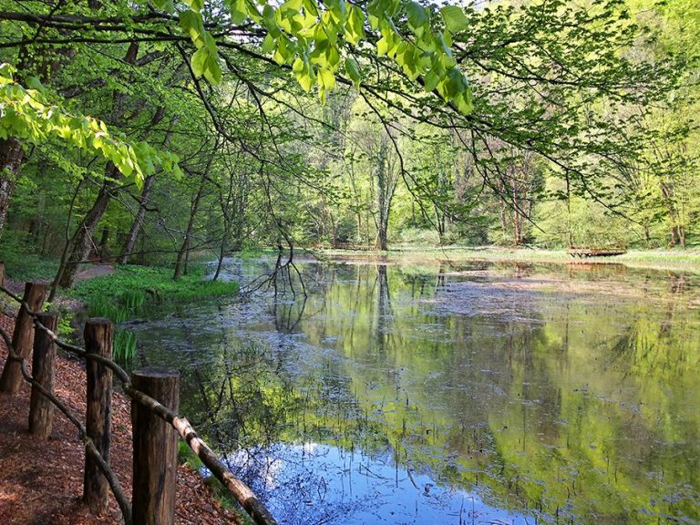 Nature park Papuk – rural beauty of Požega – Slavonia County