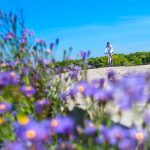 foto: TZ Šibensko – kninske županije