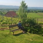 Cesta-ruža-i-vina-pogled-2