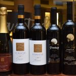Vinski razgovori 4_ vina Stručić i Mikulić