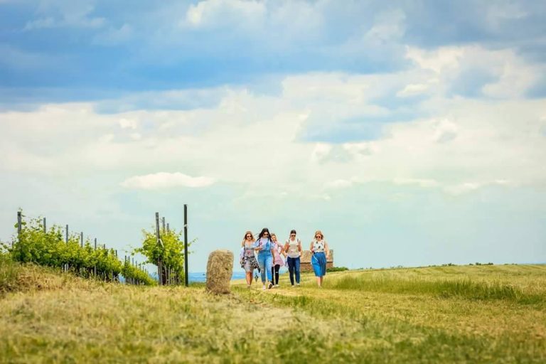 Baranja – hedonistička oaza između Slavonije i Bačke