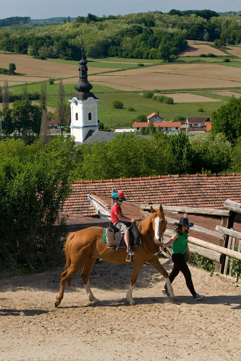 Equestrian tourism of Bjelovar-Bilogora County
