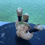 Restoran Žal riblji mus u kornetu