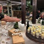 Vinotel Gospoja ponuda