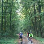 Bicikliranje u šumi