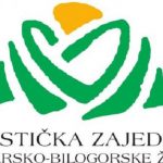 TZBBZ_Nova_11_-696×379