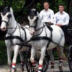 screensaver-777×437