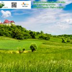 silvestar matejak (1)