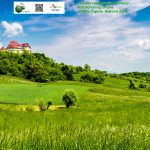 silvestar matejak (3)