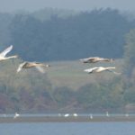 poucna-staza-lokvanjic-03__large