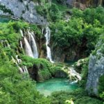 67208787_1252880444893190_2231398087669055488_o