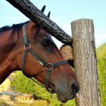 67402760_1252880654893169_6002017930584260608_o