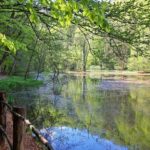 20150419_102512_Richtone(HDR)