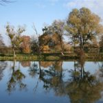 Bedekovčanska jezera