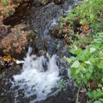 FB_IMG_1572260016193 (1)