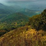 Montis-vile-fotografija