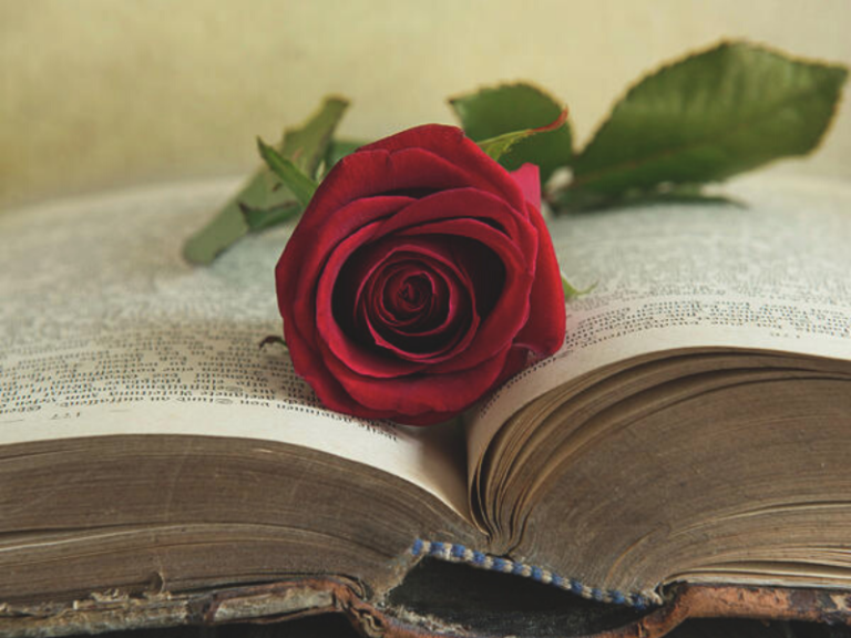 Zaljubimo se u riječi – 7 čarobnih knjiga za dan Ljubavi