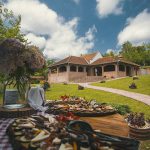 MG_4482-500×600 (1)