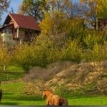 NA MALENOM BRIJEGU 3