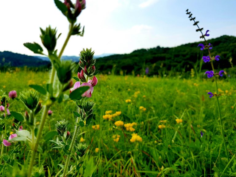 Dosta vam je svega? Pravac Zagorje!