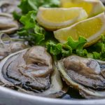 Kamenica_izvor TZ Ston_01