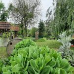 196738408_4679492858733988_4245251322505015509_n (1)