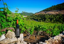 Na Pelješcu najavljena još četiri tematska projekta