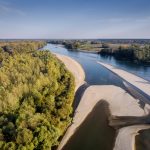 untitled001_66_6gaWmm77gP