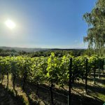 206868585_10224681963813196_2818612772640418568_n