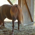 210419245_10224770626789715_1254153404391889090_n