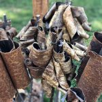 216839559_10223021587959852_8322102147775964518_n