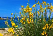 Istraži Ližnjan ovog ljeta