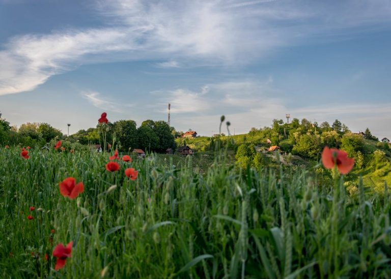Ljeto na Bedekovčanskim jezerima – od Štruklijade do Mužikaša