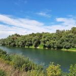 011 Rijeka Sava pogled iz Desnog Trebarjeva)