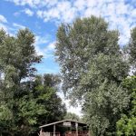 08 Rijecna skela pretvorena u terasu restorana gospodarstva Davidovic kraj Save