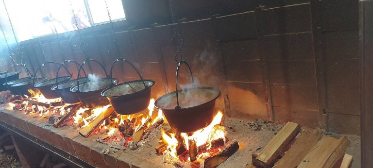 Baranja – zlatna, zavodljiva, mirisna i nezaobilazna