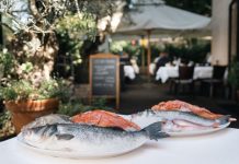 LJETNA RAPSODIJA NASTAVLJA SE U SRCU ZAGREBA