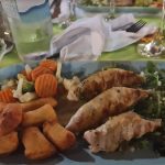 Zelena-oaza-Petrinja