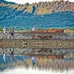 Stonska-solana_radnici-solane-u-pripemi-1