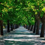0006_blato_zlinje_2_2021
