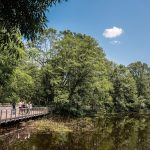 Medajame-1-foto-Stipe-Boscic