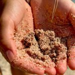 okusi-kreta-plaza-elafonisi-2234