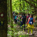 CAMINO-3