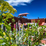 NASLOVNA DRAVSKI RAJ