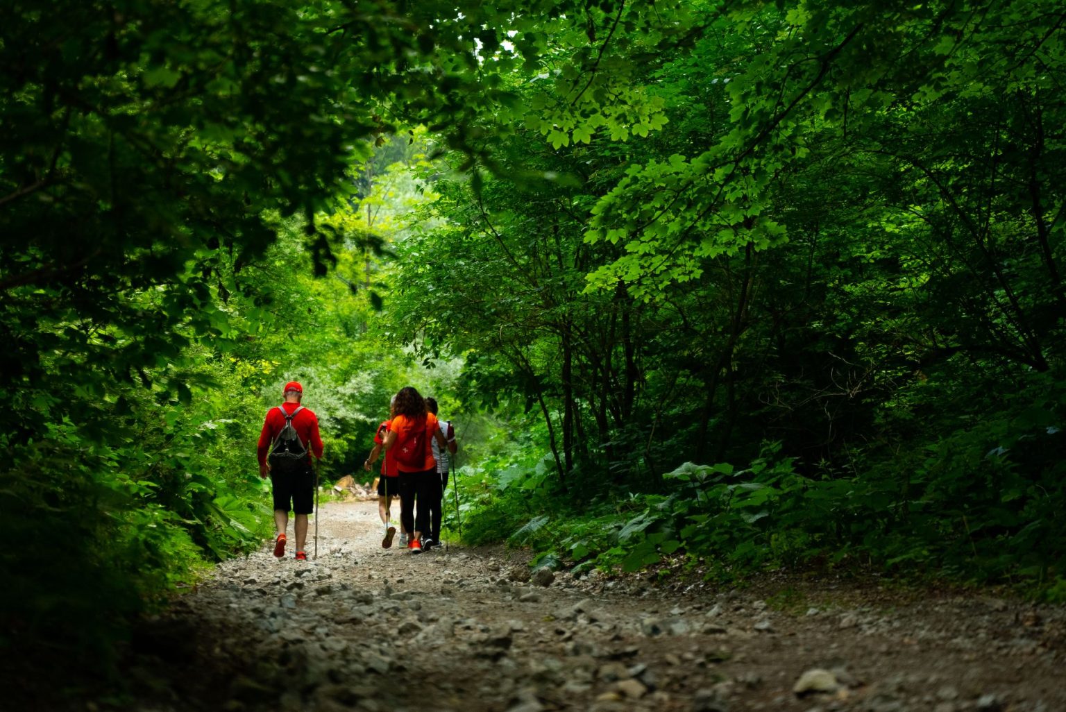 15 DOBRIH RAZLOGA ZAŠTO POSJETITI IVANEC - ExploreCroatia